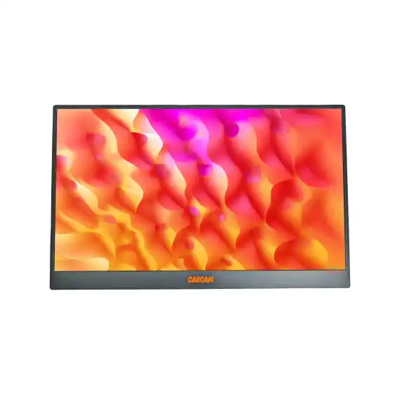 Мониторы Carcam